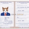 Chile cat Fake PSD Passport | Instant Download
