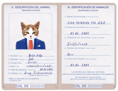 Chile cat Fake PSD Passport | Instant Download