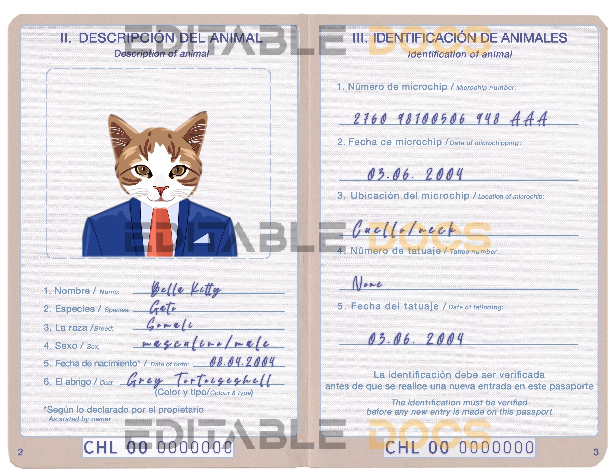 Chile cat Fake PSD Passport | Instant Download