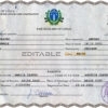 Authentic Chile Birth Certificate Template | Customize and Download Online
