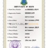 Customizable Chile Death Certificate PSD Templates | Instant Download