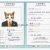 China cat Fake PSD Passport | Instant Download
