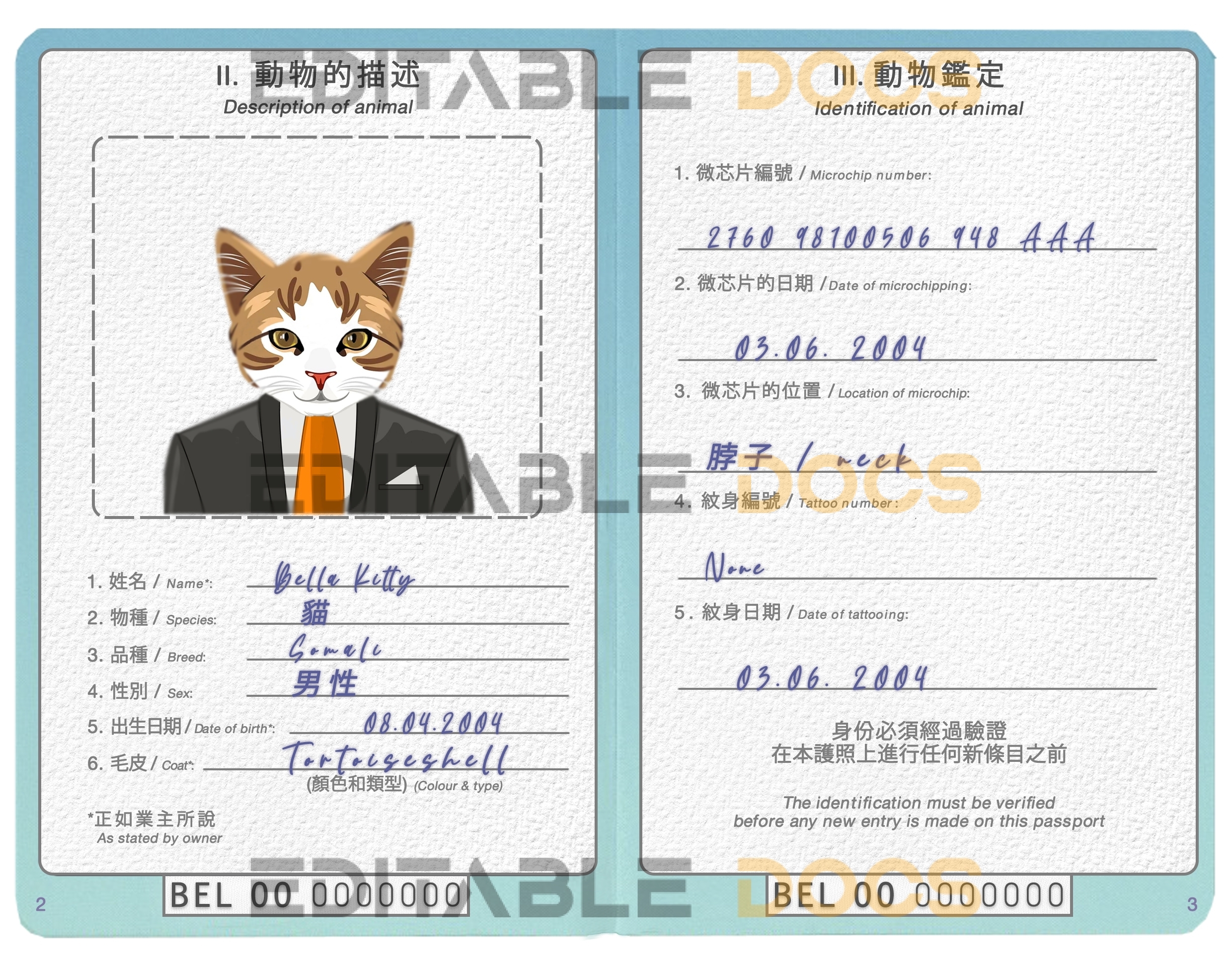 China cat Fake PSD Passport | Instant Download