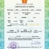 Authentic China Birth Certificate Template | Customize and Download Online