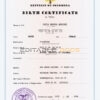 Authentic Colombia Birth Certificate Template | Customize and Download Online