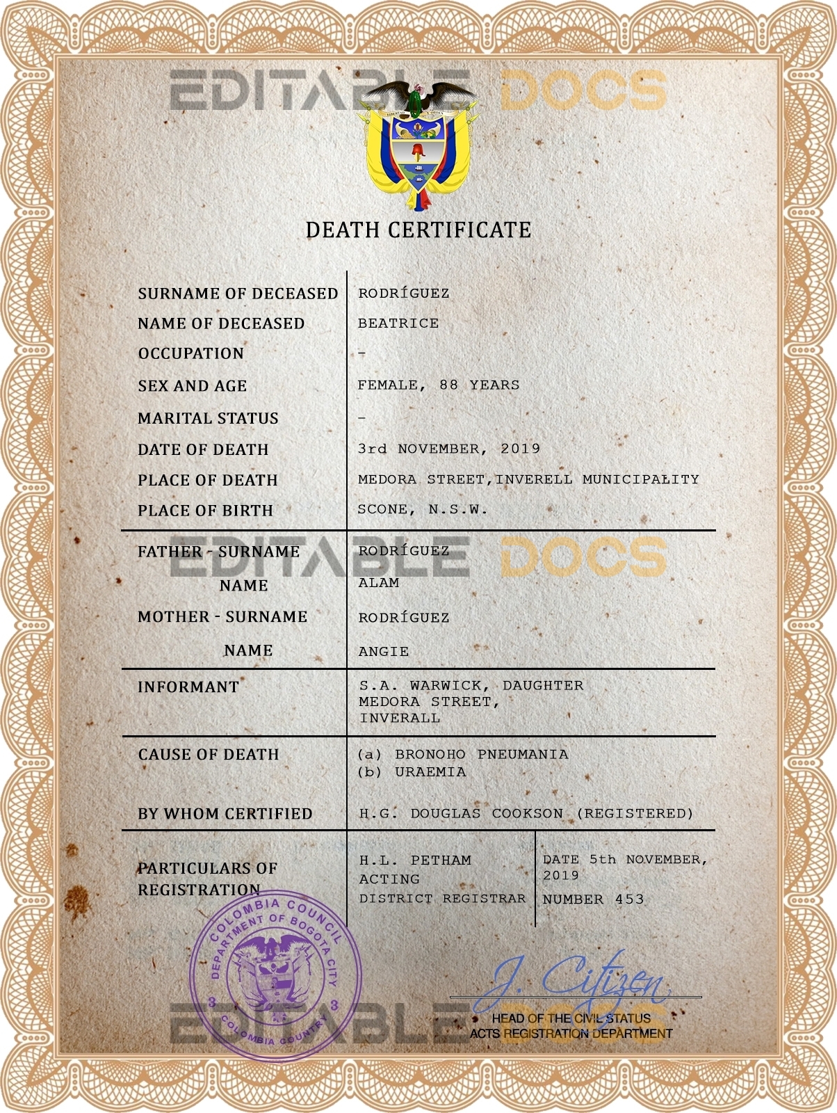 Customizable Colombia Death Certificate PSD Templates | Instant Download