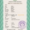 Authentic Comoros Birth Certificate Template | Customize and Download Online