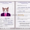 Congo cat Fake PSD Passport | Instant Download