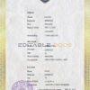 Authentic Costa Rica Birth Certificate Template | Customize and Download Online