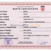 Authentic Croatia Birth Certificate Template | Customize and Download Online