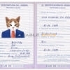 Cuba cat Fake PSD Passport | Instant Download