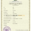 Authentic Cuba Birth Certificate Template | Customize and Download Online