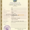 Customizable Cuba Death Certificate PSD Templates | Instant Download