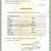Customizable Albania Death Certificate PSD Templates | Instant Download