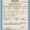 Customizable Dominica Death Certificate PSD Templates | Instant Download