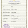 Customizable Trust Vital Record Universal Death Certificate PSD Templates | Instant Download