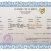 Authentic Cyprus Birth Certificate Template | Customize and Download Online