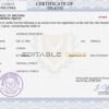 Customizable Cyprus Death Certificate PSD Templates | Instant Download