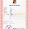 Authentic Czechia Birth Certificate Template | Customize and Download Online