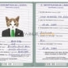 Democratic Republic of the Congo cat Fake PSD Passport | Instant Download