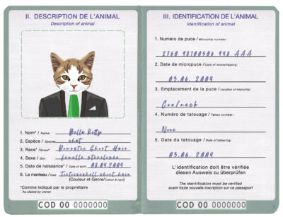 Democratic Republic of the Congo cat Fake PSD Passport | Instant Download