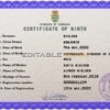 Authentic Denmark Birth Certificate Template | Customize and Download Online