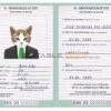 Denmark cat Fake PSD Passport | Instant Download