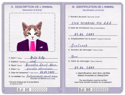 Djibouti cat Fake PSD Passport | Instant Download