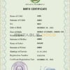 Authentic Djibouti Birth Certificate Template | Customize and Download Online