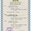 Authentic Dominica Birth Certificate Template | Customize and Download Online