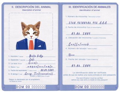 Dominican Republic cat Fake PSD Passport | Instant Download