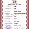 Authentic Dominican Republic Birth Certificate Template | Customize and Download Online