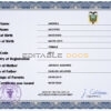 Authentic Ecuador Birth Certificate Template | Customize and Download Online
