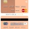 Editable Mauritius Bank of Baroda mastercard Templates in PSD Format