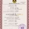 Customizable Egypt Death Certificate PSD Templates | Instant Download