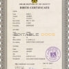 Authentic Egypt Birth Certificate Template | Customize and Download Online