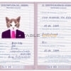 El Salvador cat Fake PSD Passport | Instant Download