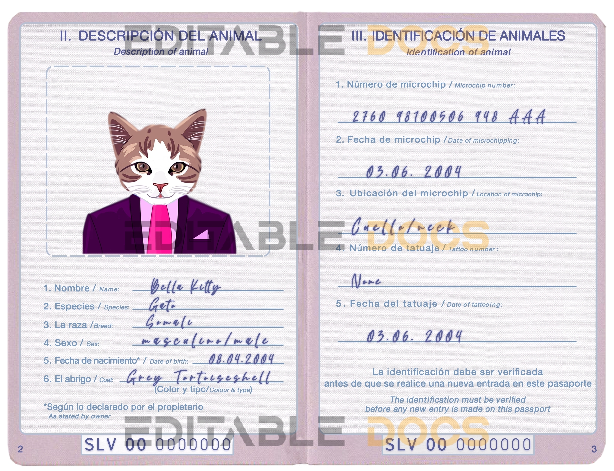 El Salvador cat Fake PSD Passport | Instant Download