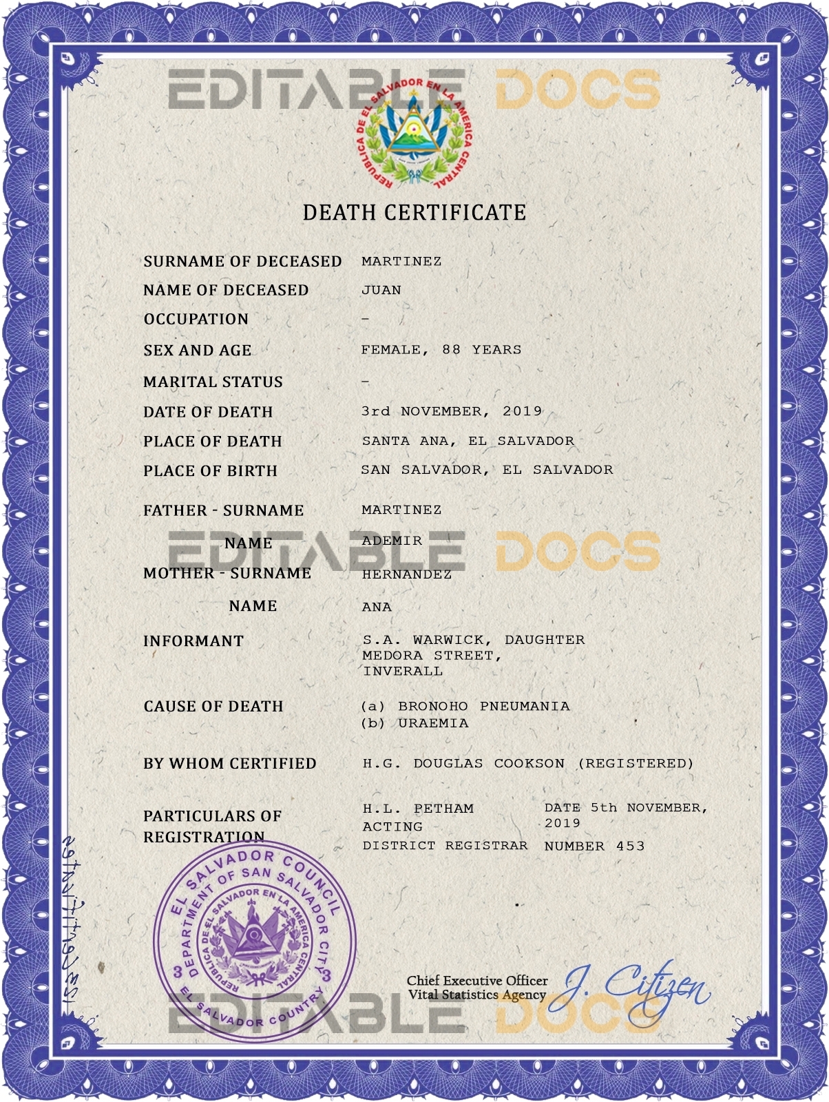 Customizable El Salvador Death Certificate PSD Templates | Instant Download