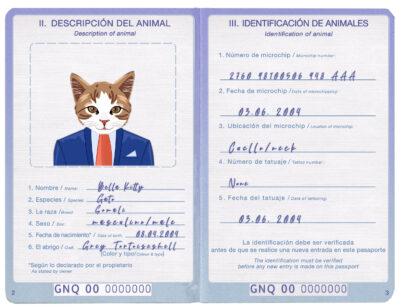 Equatorial Guinea cat Fake PSD Passport | Instant Download