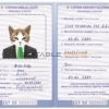 Estonia cat Fake PSD Passport | Instant Download