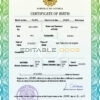 Authentic Estonia Birth Certificate Template | Customize and Download Online