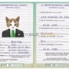 Eswatini (Swaziland) cat Fake PSD Passport | Instant Download