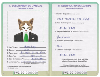 Eswatini (Swaziland) cat Fake PSD Passport | Instant Download