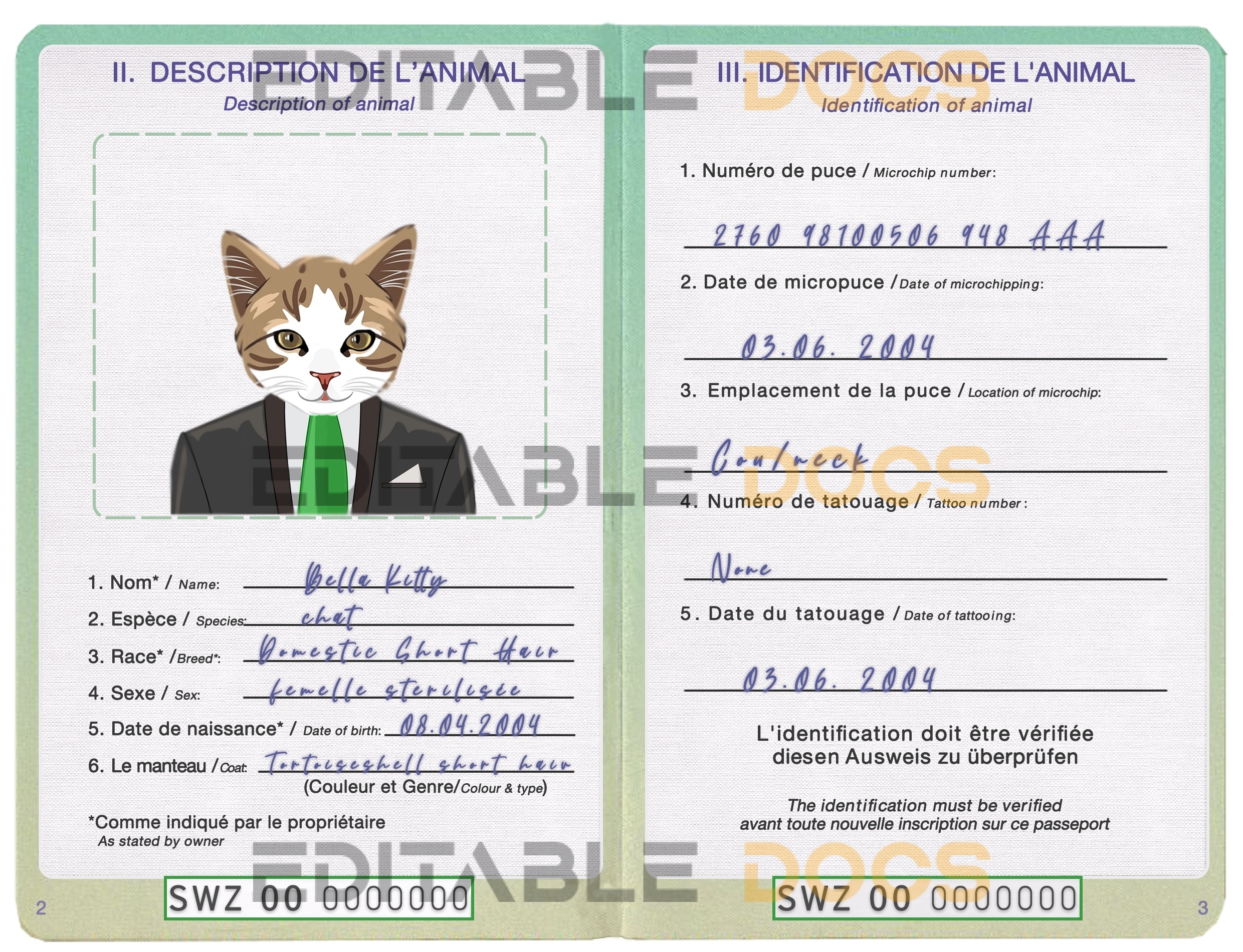 Eswatini (Swaziland) cat Fake PSD Passport | Instant Download