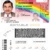 Fake Hawaii Driver License Template | PSD Layer-Based