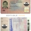 Fake Romania Driver License Template | PSD Layer-Based (version 1)