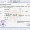 Customizable Fiji Death Certificate PSD Templates | Instant Download
