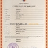 France Marriage Certificate | Editable PSD Templates
