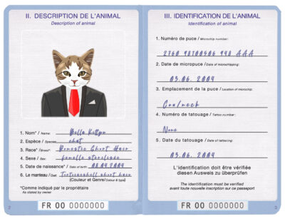 France cat Fake PSD Passport | Instant Download